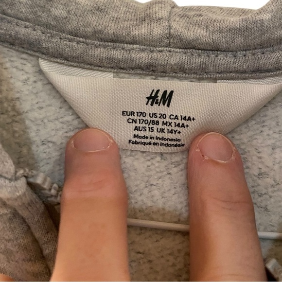 H&M Boys Heather Gray zip up Hoodie Size 20 or Boys XL hooded fleece line jacket - Picture 4 of 6